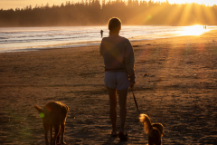 Website.-Adventure-07