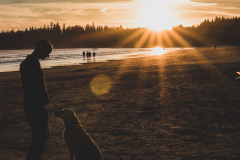 Website.-Adventure-08