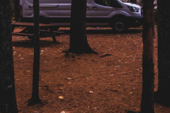 Maratimes.WEBSITE-04