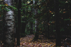 Maratimes.WEBSITE-14