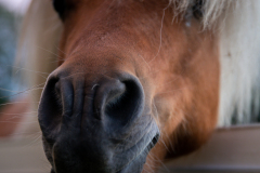Travel.Ontario-6